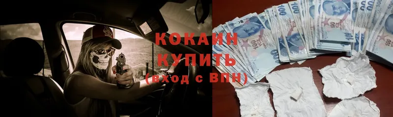 как найти наркотики  Весьегонск  COCAIN Эквадор 